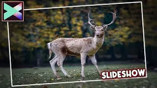 Photo Slide Show Tutorial In Filmora X | Professional Slide Slideshow | Trending-Tech.