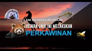 PROSES WIKWIK HEWAN YANG UNIK