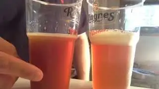 How to Clarify Beer by Cold Crashing and using Gelatin