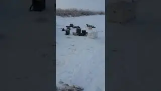 Удачная рыбалочка