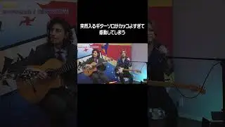 突然入るギターソロがカッコよすぎて感動してしまう #はっぴいえんど #shorts