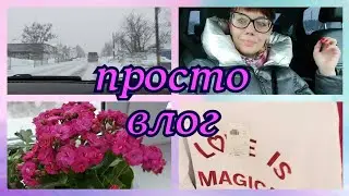 Погода испортилась/Modis/Завела канал в телеграм
