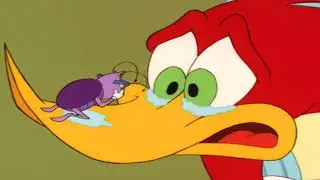 El Pájaro ayuda a su amigo la cucaracha | El Pájaro Loco