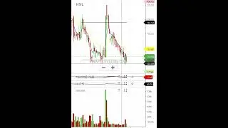 HEMANT SURGICAL SHARE LATEST NEWS HEMANT SURGICAL SHARE TARGET HEMANT SURGICAL SHARE ANALYSIS