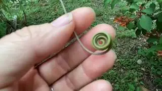A little nature ASMR (Watch with headphones)