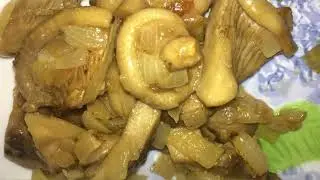 ‼️ГРУЗДИ. ЖАРИМ ОСИНОВЫЕ  ГРУЗДИ😋👍‼️ Как приготовить белые грузди❓🍄🤤