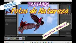 EDIÇÃO DE FOTOS DE NATUREZA