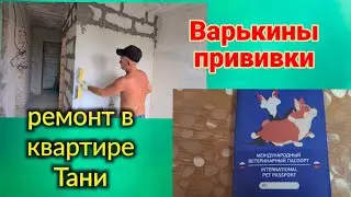 Ейск🌹Ремонт в квартире Тани. Нюансы по перепланировке кухни и ванной. Варины прививки. Огород на юге
