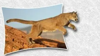 Efeito objeto saindo da foto - GIMP