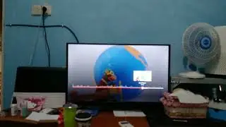 baby einstein world music