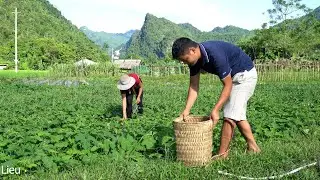Together with my boyfriend, I harvested cucumbers and melons to sell