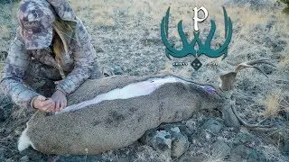 The Gutless Field Dressing Method with Kristy Titus