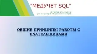 Общие принципы работы с плательщиками в программе 