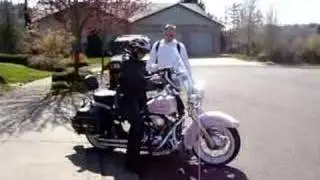 Pink Harley Heritage Softail