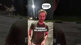 Такую полицию ещё не видел! :)