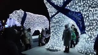 Семейство белых медведей на Троицкой площади