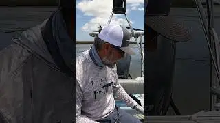 Where You Cast And What You Throw Matters  #flatsfishing #inshore #fishing #fyp