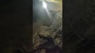 сталогмид