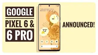 Pixel 6 and Pixel 6 Pro