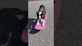 Skateboarding 8.4.2020