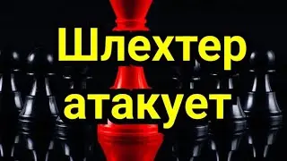 1) Шлехтер атакует.