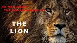 The Lions | The Roaring Majesty 🦁 | Earth Gallery
