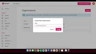 Creating and Managing Organizations in Dgraph Cloud