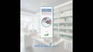 Bli Yabelet