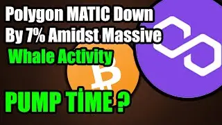 Polygon MATIC Down By 7% Amidst Massive Whale Activity