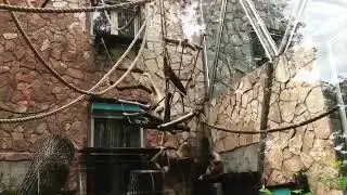 Зоопарк СПб_Обезьянки