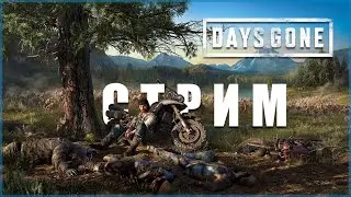 Days Gone! Вспоминаем где остановились!😎 (запись стрима)