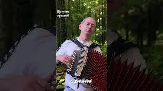 #Гармонь#продажа