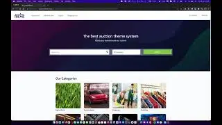 How to create a seat auction website. Using WordPress framework.