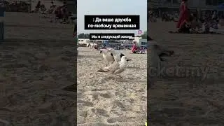 #дружба