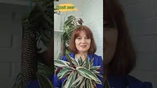C 8 марта!