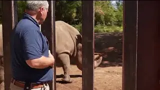 How you can Explore More at Riverbanks Zoo