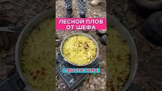 ПЛОВ В ЛЕСУ НА SYSTO FESTIVAL | СИСТО | ОБЕД ПРОСТО ЧУМА!