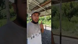 начали строить летнюю кухня с нуля