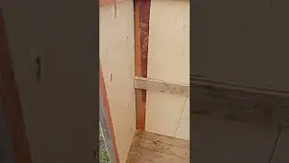 Мангальная зона почти готова или рыжий Барсик вышел на прогулку