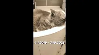 MANUN MUISTOVIDEO | LEPÄÄ RAUHASSA