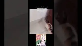 Мемасик из Тик Тока 