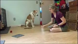 personal target lesson 1
