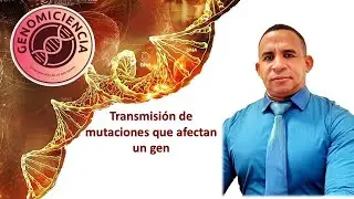 Introduction to the topic of transmission of mutations that affect a gene