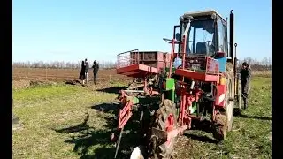 Агрофирма 
