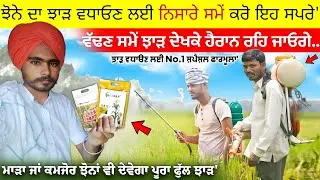 ਝੋਨੇ ਦਾ ਝਾੜ ਵਧਾਓਣ ਲਈ No.1 ਸ਼ਪੈਸ਼ਲ ਫਾਰਮੂਲਾ' ਝਾੜ ਦੇਖਕੇ ਹੈਰਾਨ ਰਹਿ ਜਾਓਗੇ • Dhan ki paidawar kaise badhaye