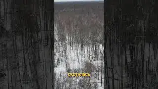 Тост для корпоратива!