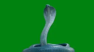 snake green screen | naagin 6 snake animation green screen | Mehek Snake Animation on Green screen