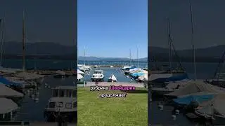 И птиц нет, видимо аренда дорогая  #жизньвшвейцарии