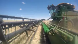 Bulla Burra Harvest 2016
