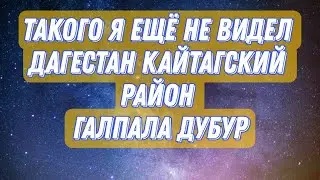#Ahmedkent